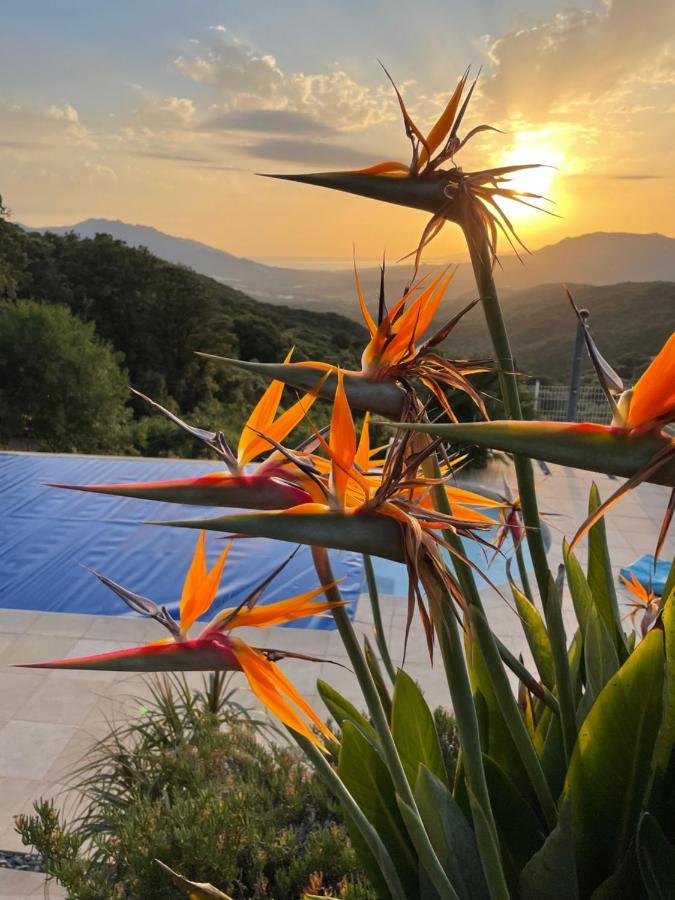 Villa U Tramontu Granace 外观 照片